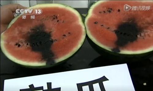 什么瓜不能偷着吃呢视频,揭秘那些不能偷着吃的“瓜”