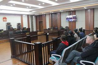 庭审现场吃瓜视频大全,一窥法律背后的人间百态