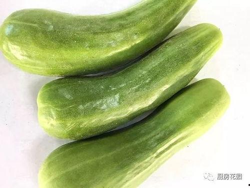 带你吃瓜最早的视频,揭秘带你吃瓜最早视频背后的故事