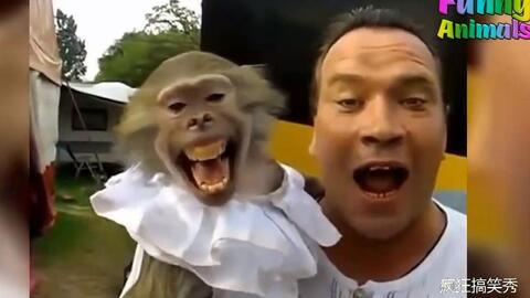 吃瓜猴姐带货搞笑视频,笑料横生，带货力MAX！