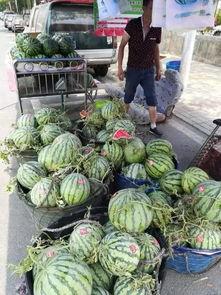 南昌地产吃瓜事件视频,揭秘背后真相与争议