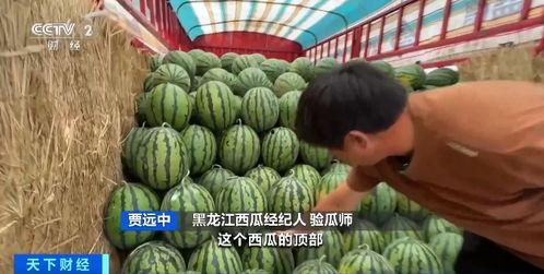 深圳高中吃瓜视频,揭秘校园生活趣味瞬间