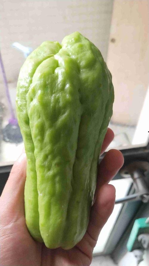 啥叫吃瓜视频啊,网络时代的娱乐风向标