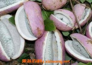 八月瓜怎么做吃的视频,家常做法视频教程