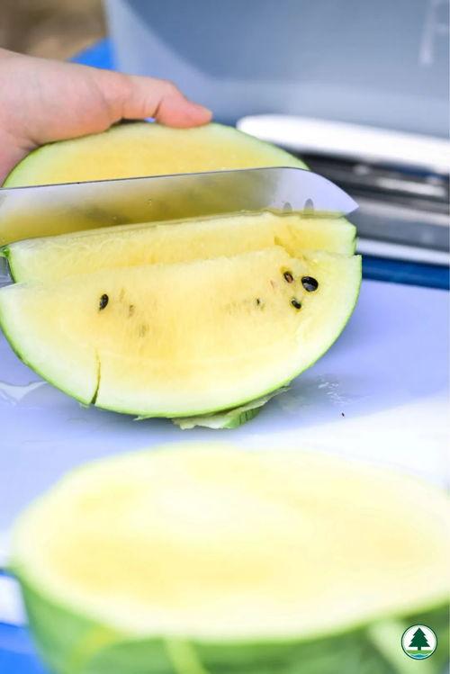 去哪里吃瓜视频香港,揭秘娱乐圈幕后故事