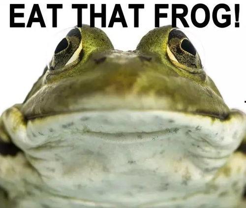 青蛙默默吃瓜视频,揭秘动物界的“八卦”时刻