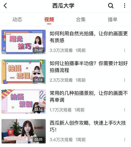 吃瓜自媒体视频大全,视频大全背后的热点追踪与娱乐狂欢