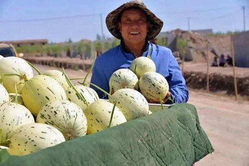 13州吃瓜的视频,一场视觉盛宴背后的故事