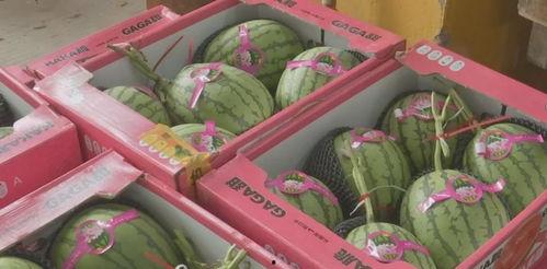 瓜哥吃瓜奇葩纸扎视频大全,揭秘奇葩纸扎视频大全背后的趣味与奇观