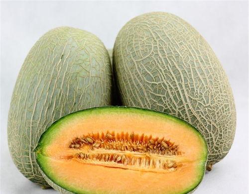 蜘蛛侠吃哈密瓜视频大全,哈密瓜视频大全趣味盘点