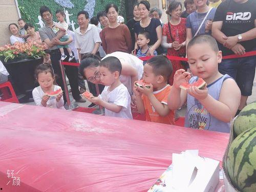 最帅的人吃瓜群众视频播放,最帅之人吃瓜视频引全民热议